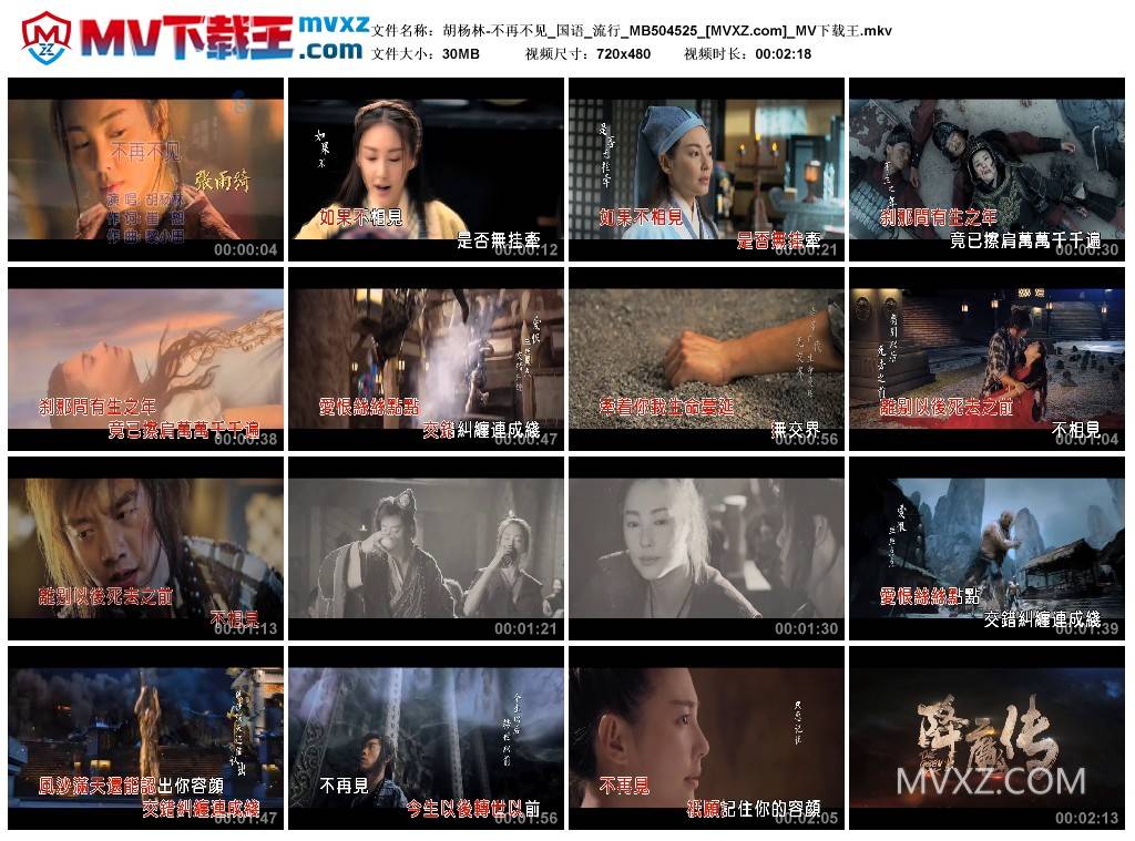 胡杨林-不再不见_国语_流行_MB504525